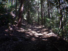 ���b�B�X��