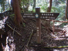 �������O�D�U����