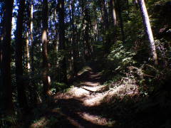 ���b�B�X��