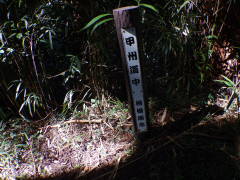 �b�B�����@���͌��s