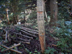 �b�B�Ó��@������