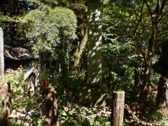 �����V�c���œ���x����y��엧��