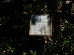 �b�B�����E������