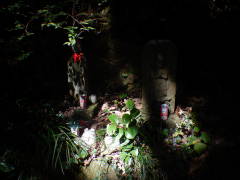 �n���E�M�\��