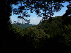 �����q����