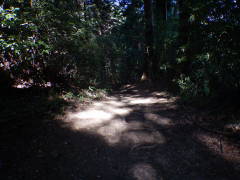 ���b�B�X���@�����