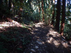 ���b�B�X��