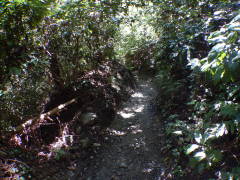 ���b�B�X��