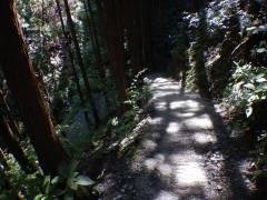 ���b�B�X��