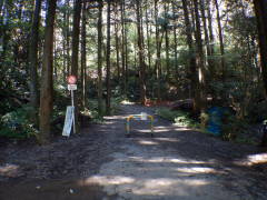 �쓹����ܑ����H��