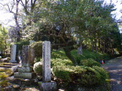 �n���ϐ�����F