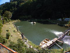 ��썑�ۃ}�X�ޏ�