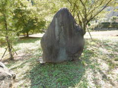 �����~��