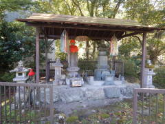 ��v�ҋ��{��