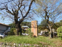 �b�B�X����ؖ�h