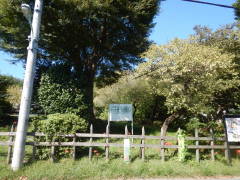 �����֐�