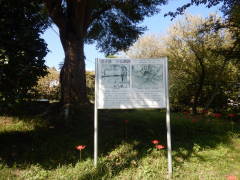 ���j�� �����֐�