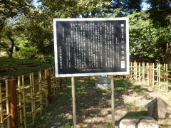 �����֐�