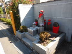 �������̘Z�n��