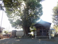 ����ʈ��