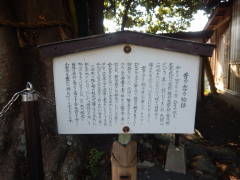 �̗̂��̕���