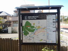 ���a�̎U���݂�