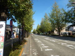 �b�B�X���C�`���E����