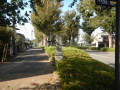 ������ˎQ��