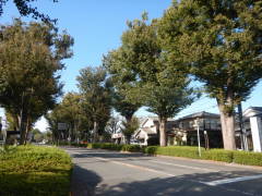 ������ˎQ��