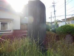 �����R���W