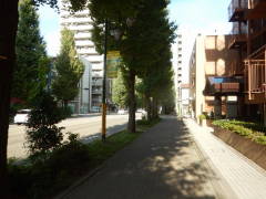 �b�B�X���C�`���E����