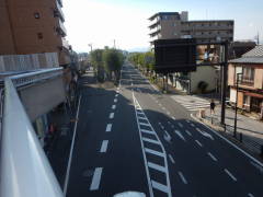 �w�n�X���E���w�n�X��