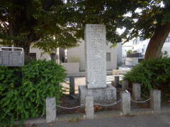 �V���|�̕@�̈ꗢ�ː�