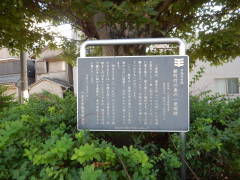 �V���|�̕@�̈ꗢ�ː�