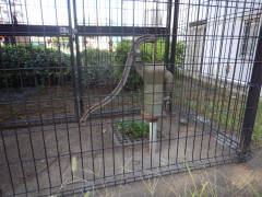 �艟���|���v