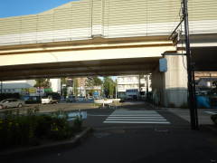 �����P�U��������