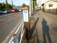 ���{���܂łS�R�q