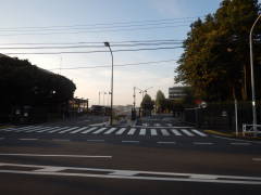 ���쎩���Ԋ������ �{��