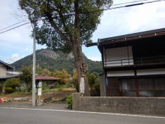 ��o�X��