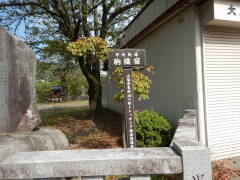 �b�B�X����h