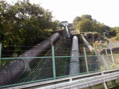 ����d��������