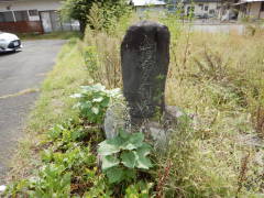 �ʋ�����