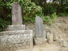 �n���ϐ���