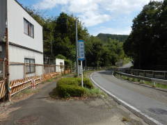 �b�B�X���E���W