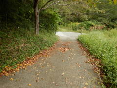 �����R�O�����ɍ���