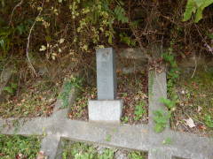 �n���ϐ���