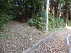 �Ώ�����