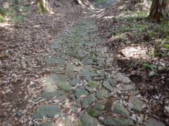 ���b�B�X���Ώ�