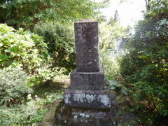 �������q��