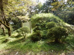 ���ˈꗢ��